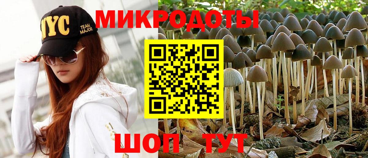 Псилоцибиновые грибы Psilocybe  Вход с VPN  Скопин 