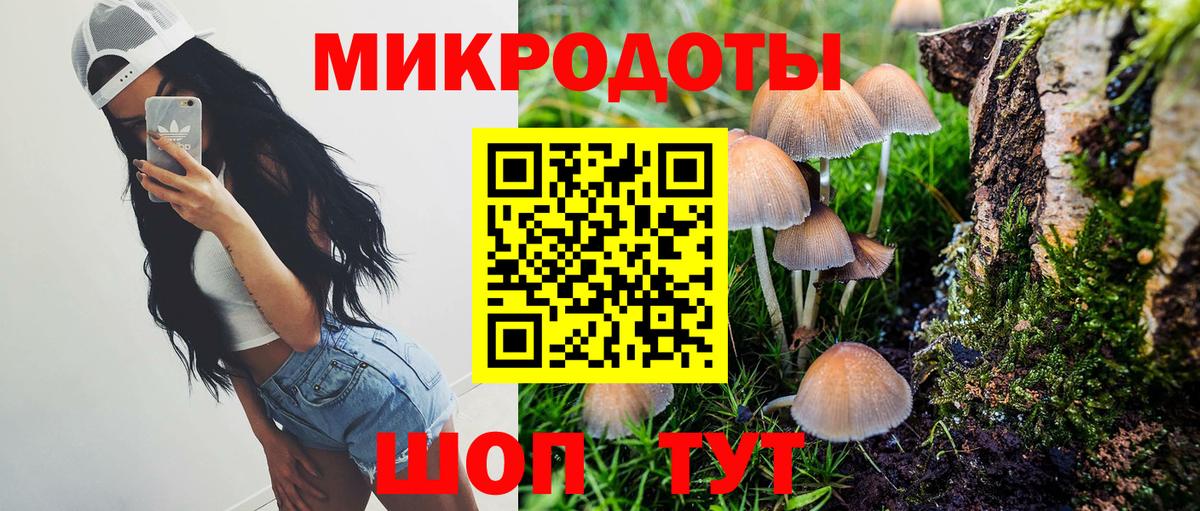 Псилоцибиновые грибы GOLDEN TEACHER Скопин